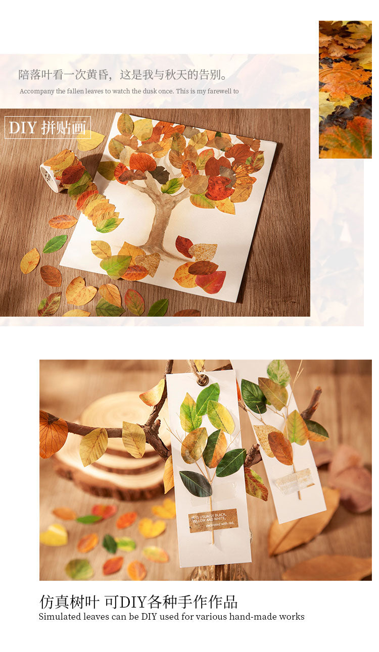 Series Simulation of Champs-Elysées Fallen Leaves - Ginko Leaf Sticky Tape