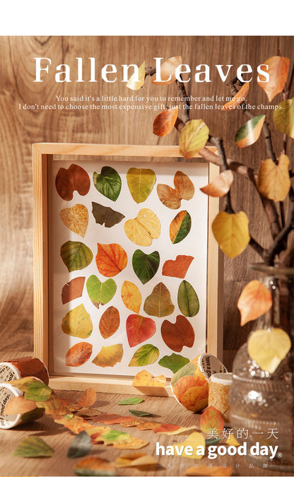 Series Simulation of Champs-Elysées Fallen Leaves - Ginko Leaf Sticky Tape