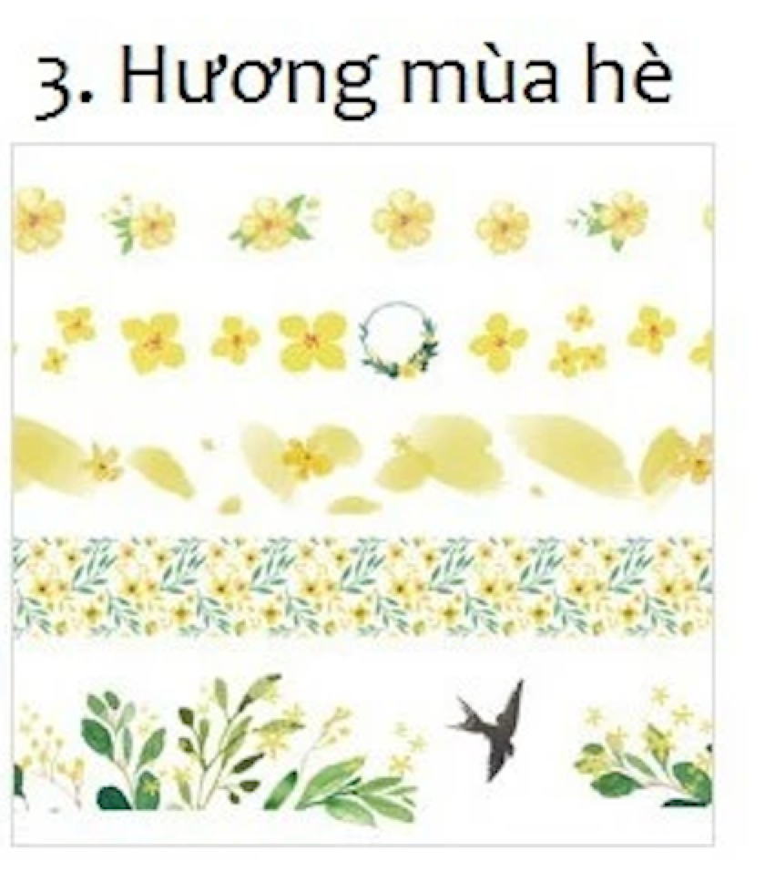 Set of 5 rolls Masking Tape - Summer Scent, Ocean