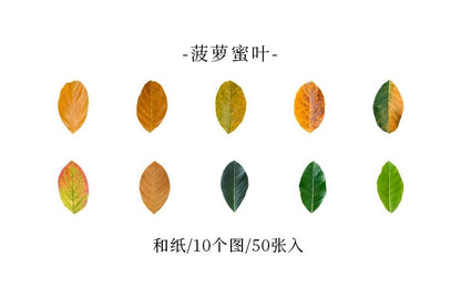 Series Simulation of Champs-Elysées Fallen Leaves - Ginko Leaf Sticky Tape