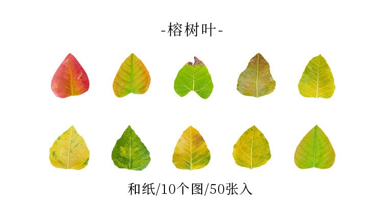 Series Simulation of Champs-Elysées Fallen Leaves - Ginko Leaf Sticky Tape