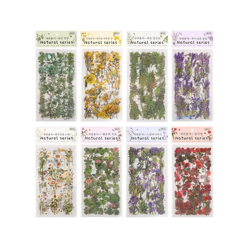 6pcs Scrapbook Stickers Flower Stickers Assorted Plants Transparent PET