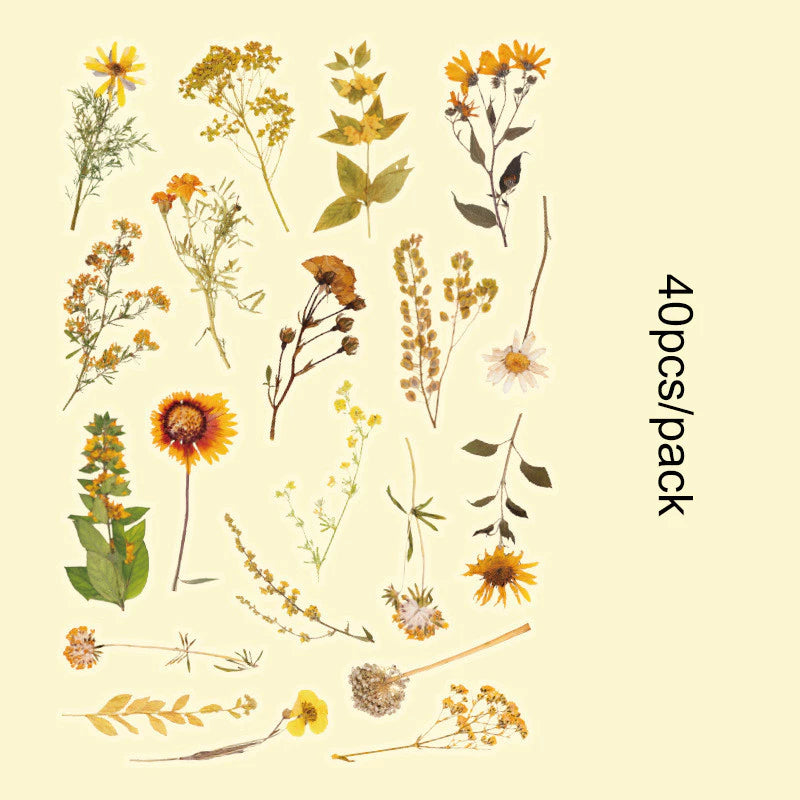 Romantic Flowers And Trees DIY Sticker Set Early Morning PET Stickers - 40pcs