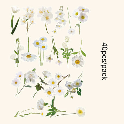 Romantic Flowers And Trees DIY Sticker Set Early Morning PET Stickers - 40pcs