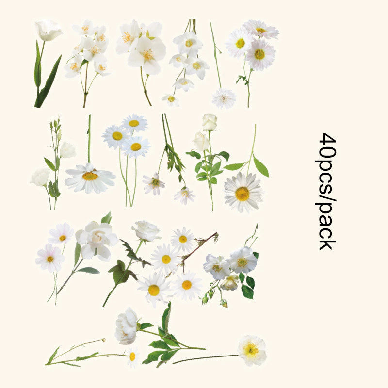 Romantic Flowers And Trees DIY Sticker Set Early Morning PET Stickers - 40pcs